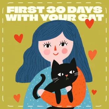 Leaving a Cat Alone for 4 Days: Safe Care Plan